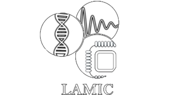 Logo del grupo LAMIC